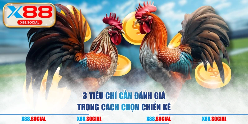 3 tiêu chí cần đánh giá trong cách chọn chiến kê